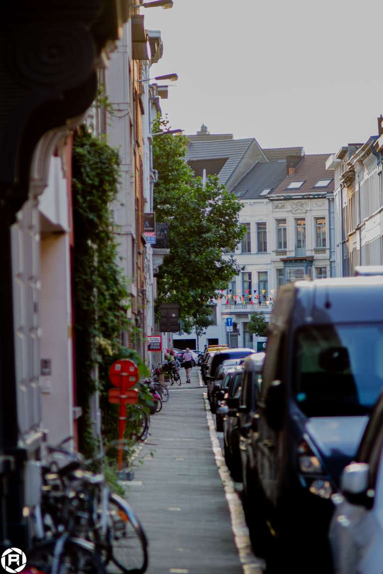 ISO: 800 | Focal Length: 50 mm | Aperture: ƒ/-- | Shutter Speed: 1/250