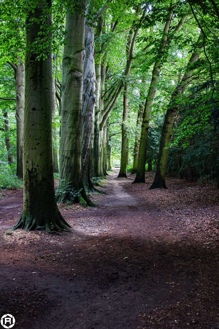 ISO: 800 | Focal Length: 30 mm | Aperture: ƒ/4,5 | Shutter Speed: 1/100