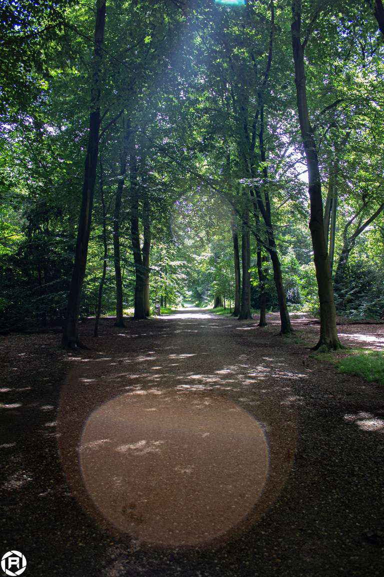 ISO: 800 | Focal Length: 18 mm | Aperture: ƒ/3,5 | Shutter Speed: 1/100