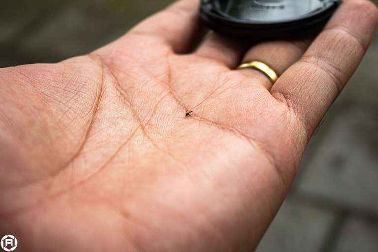 ISO: 100 | Focal Length: 35 mm | Aperture: ƒ/4,5 | Shutter Speed: 1/250