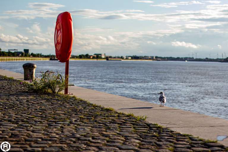 ISO: 200 | Focal Length: 50 mm | Aperture: ƒ/2,0 | Shutter Speed: 1/4000