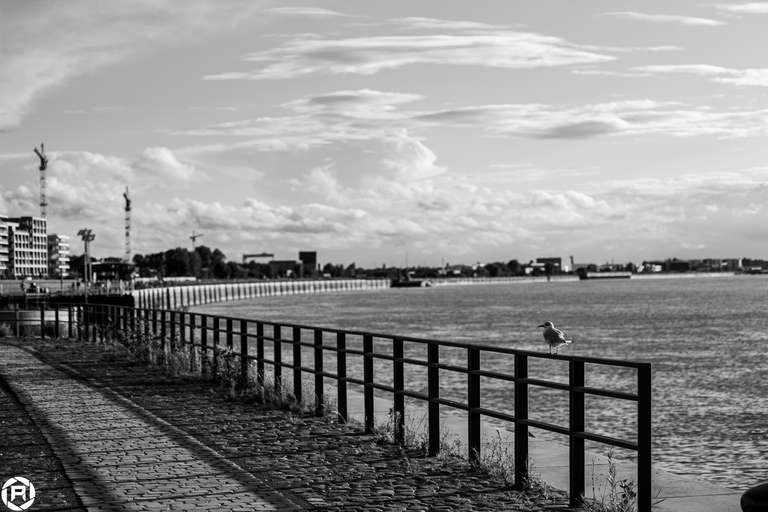 ISO: 200 | Focal Length: 50 mm | Aperture: ƒ/2,0 | Shutter Speed: 1/4000