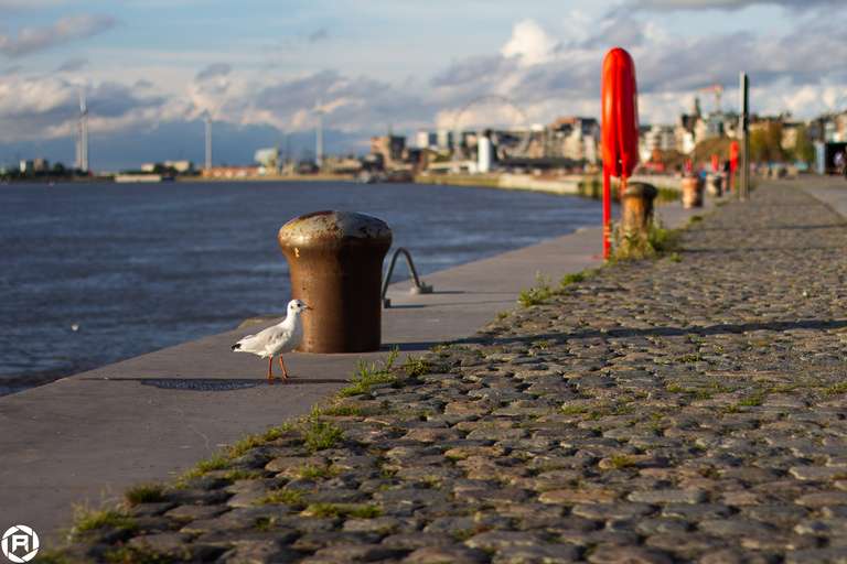 ISO: 200 | Focal Length: 50 mm | Aperture: ƒ/2,0 | Shutter Speed: 1/4000