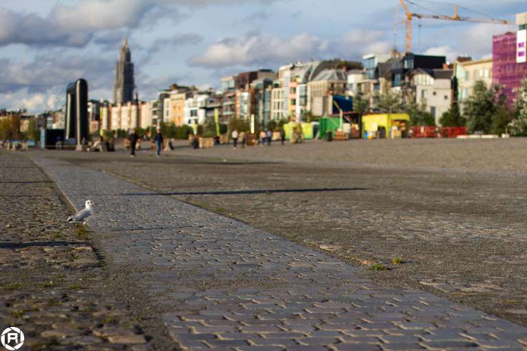 ISO: 200 | Focal Length: 50 mm | Aperture: ƒ/2,0 | Shutter Speed: 1/4000