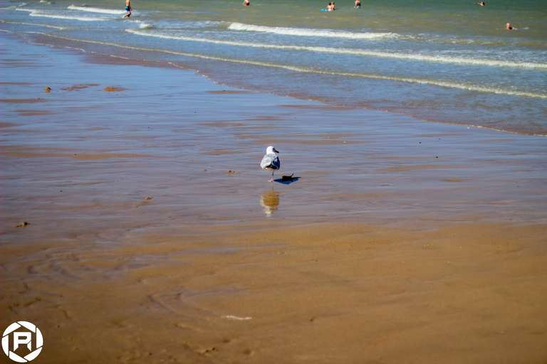 ISO: 800 | Focal Length: 50 mm | Aperture: ƒ/1,6 | Shutter Speed: 1/1250