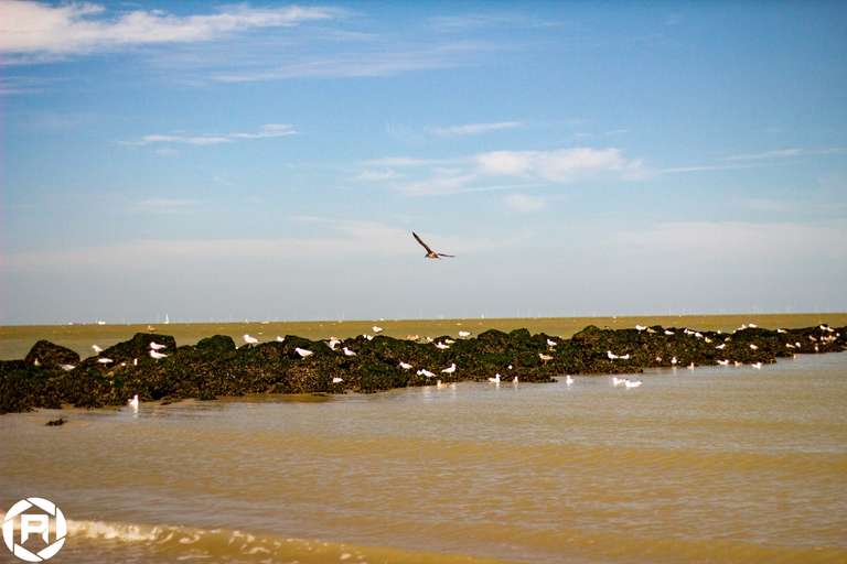 ISO: 800 | Focal Length: 50 mm | Aperture: ƒ/1,6 | Shutter Speed: 1/1250