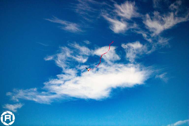 ISO: 800 | Focal Length: 50 mm | Aperture: ƒ/1,6 | Shutter Speed: 1/1250