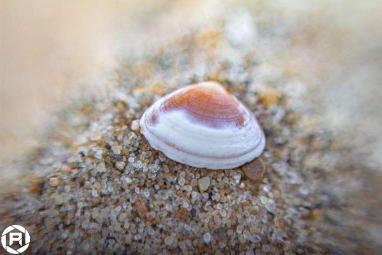 ISO: 400 | Focal Length: 50 mm | Aperture: ƒ/1,6 | Shutter Speed: 1/3200