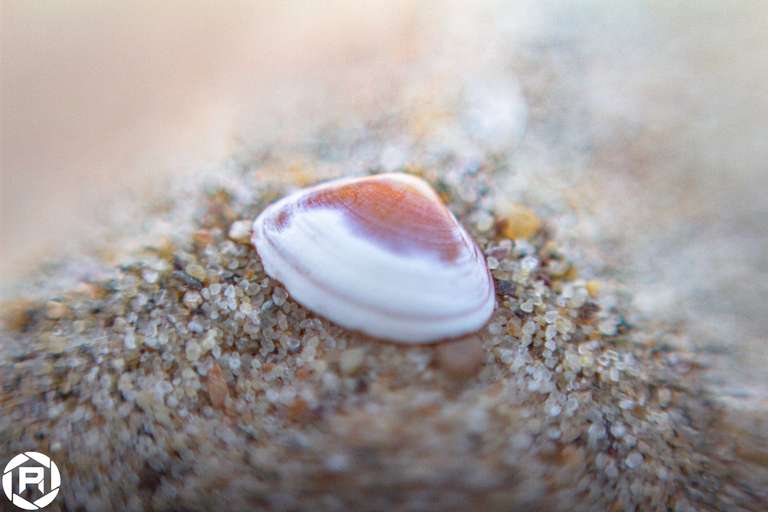 ISO: 400 | Focal Length: 50 mm | Aperture: ƒ/1,6 | Shutter Speed: 1/3200