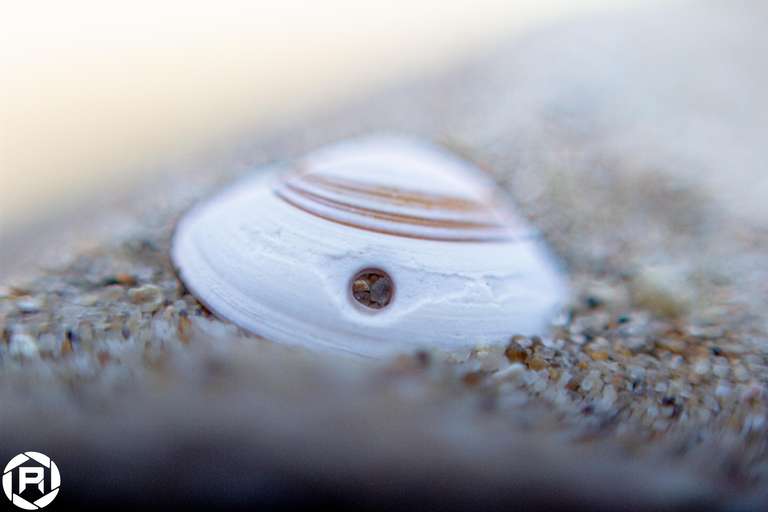 ISO: 400 | Focal Length: 50 mm | Aperture: ƒ/1,6 | Shutter Speed: 1/3200