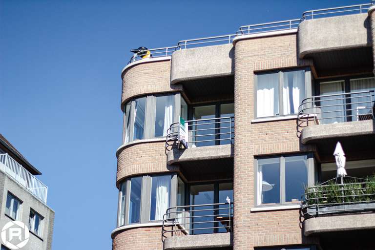 ISO: 800 | Focal Length: 50 mm | Aperture: ƒ/1,6 | Shutter Speed: 1/800