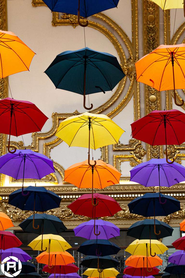 ISO: 800 | Focal Length: 50 mm | Aperture: ƒ/4,0 | Shutter Speed: 1/125