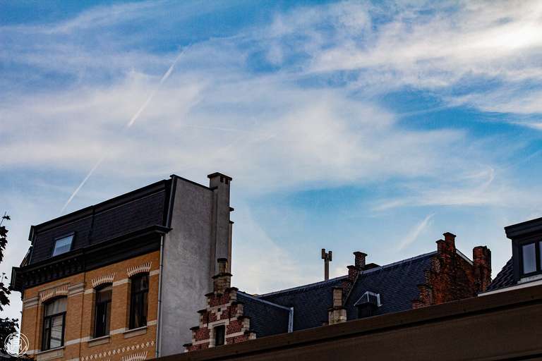 ISO: 1600 | Focal Length: 50 mm | Aperture: ƒ/8,0 | Shutter Speed: 1/400