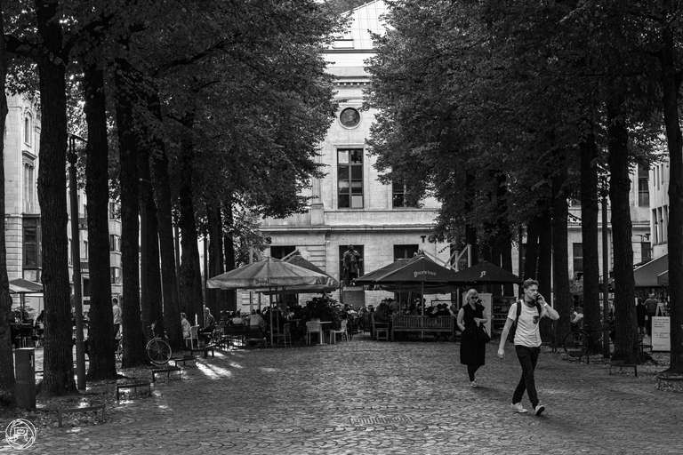 ISO: 1600 | Focal Length: 50 mm | Aperture: ƒ/8,0 | Shutter Speed: 1/400