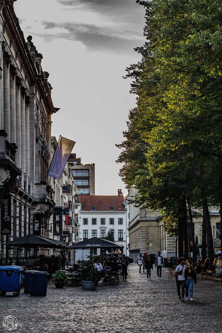 ISO: 1600 | Focal Length: 50 mm | Aperture: ƒ/8,0 | Shutter Speed: 1/640