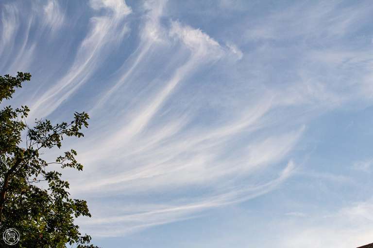 ISO: 800 | Focal Length: 50 mm | Aperture: ƒ/9,0 | Shutter Speed: 1/600