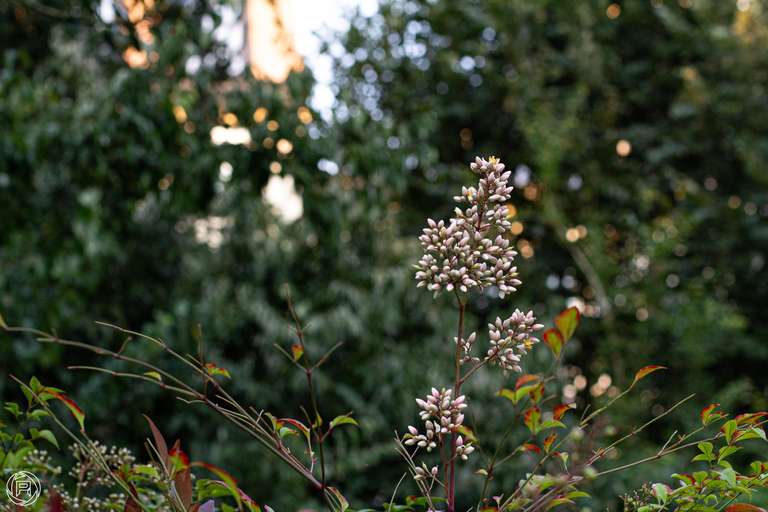 ISO: 800 | Focal Length: 50 mm | Aperture: ƒ/5,0 | Shutter Speed: 1/320