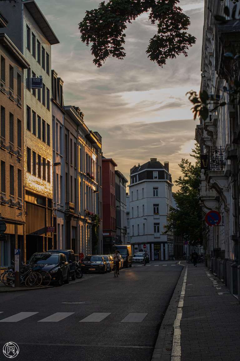 ISO: 800 | Focal Length: 50 mm | Aperture: ƒ/5,0 | Shutter Speed: 1/2000