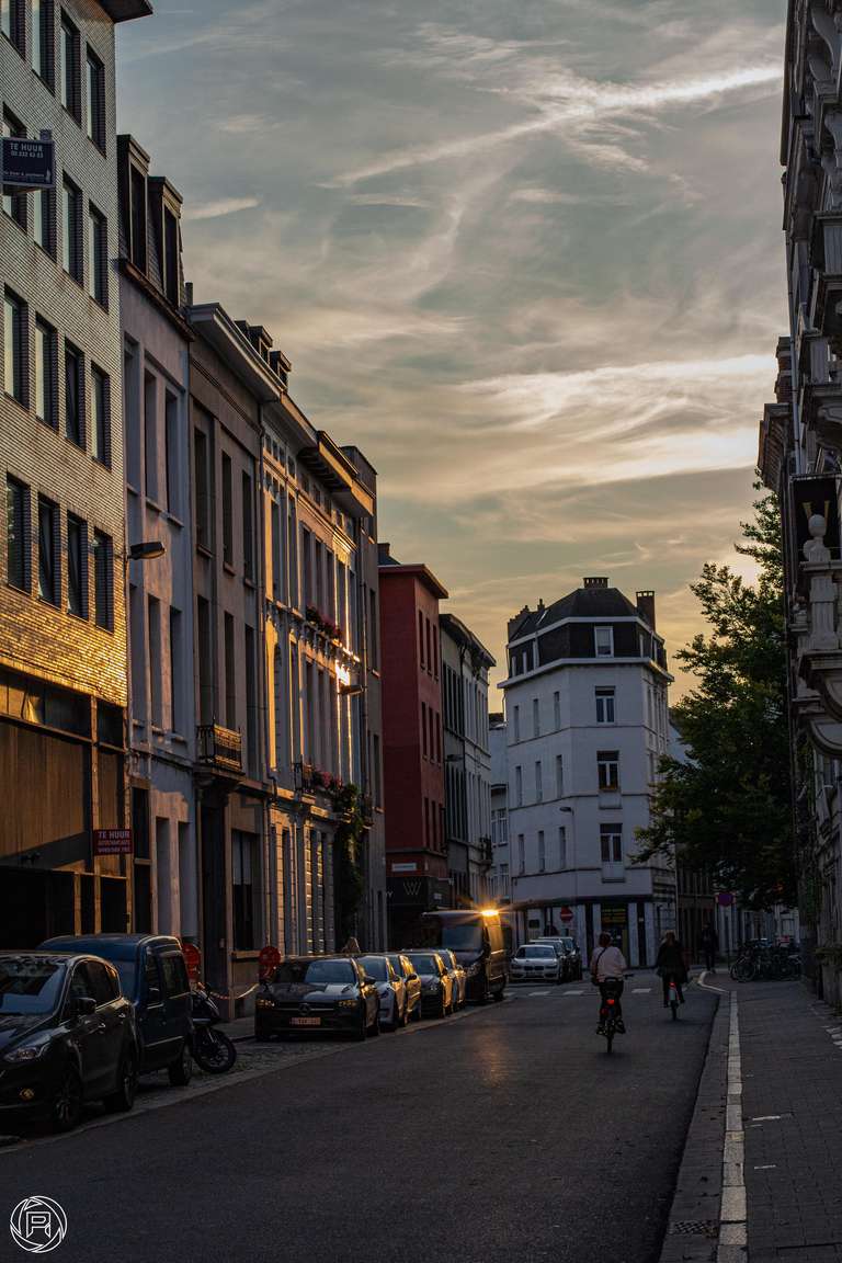 ISO: 800 | Focal Length: 50 mm | Aperture: ƒ/5,0 | Shutter Speed: 1/2500