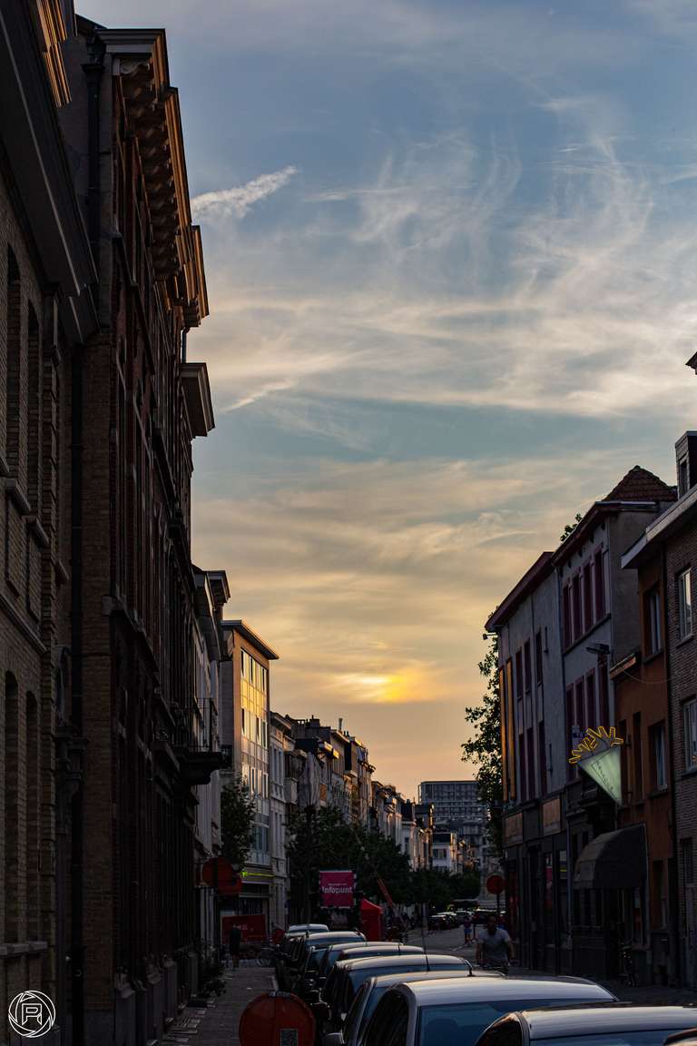 ISO: 800 | Focal Length: 50 mm | Aperture: ƒ/5,0 | Shutter Speed: 1/2500