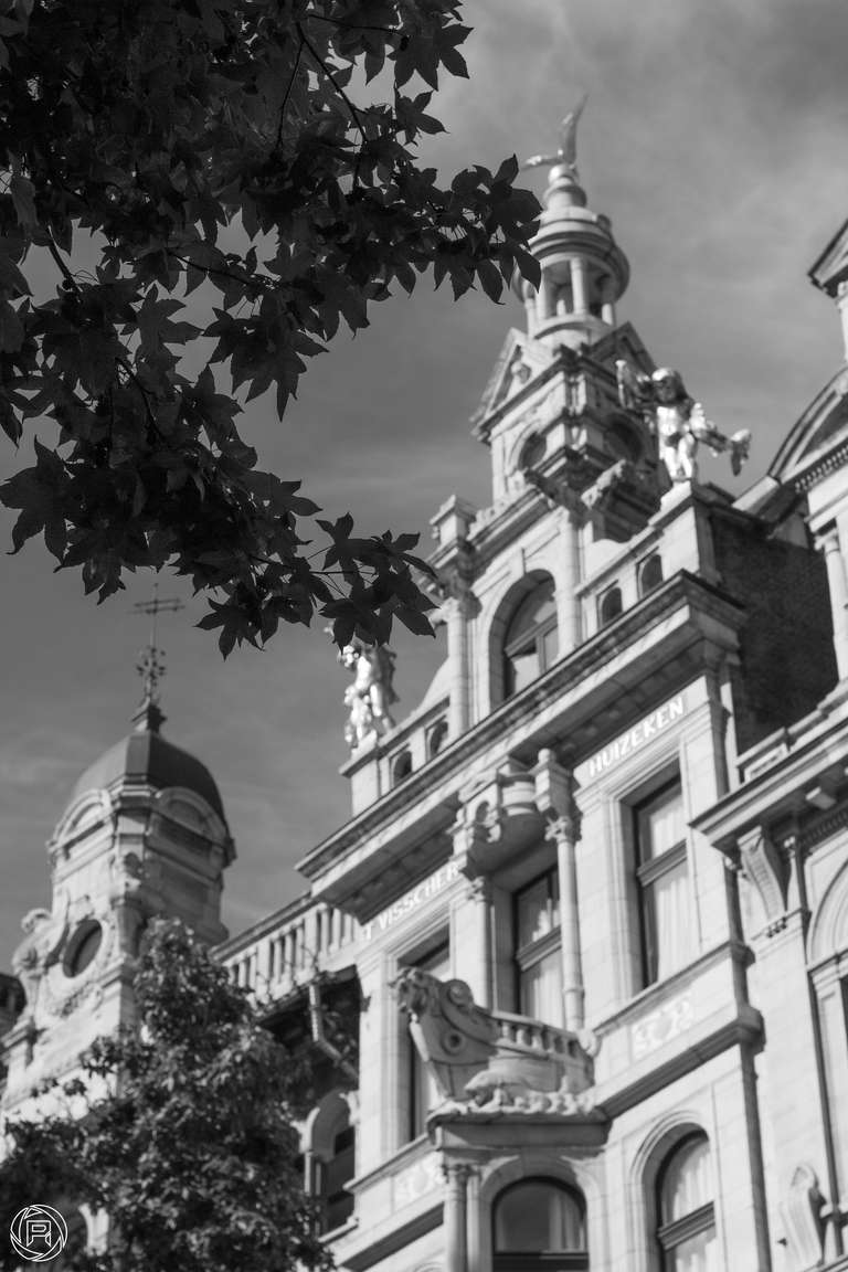 ISO: 400 | Focal Length: 50 mm | Aperture: ƒ/5,0 | Shutter Speed: 1/4000