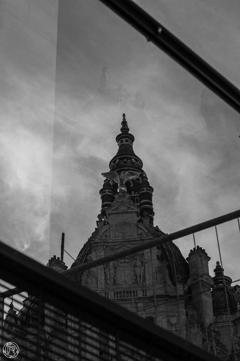 ISO: 400 | Focal Length: 50 mm | Aperture: ƒ/10,0 | Shutter Speed: 1/1250