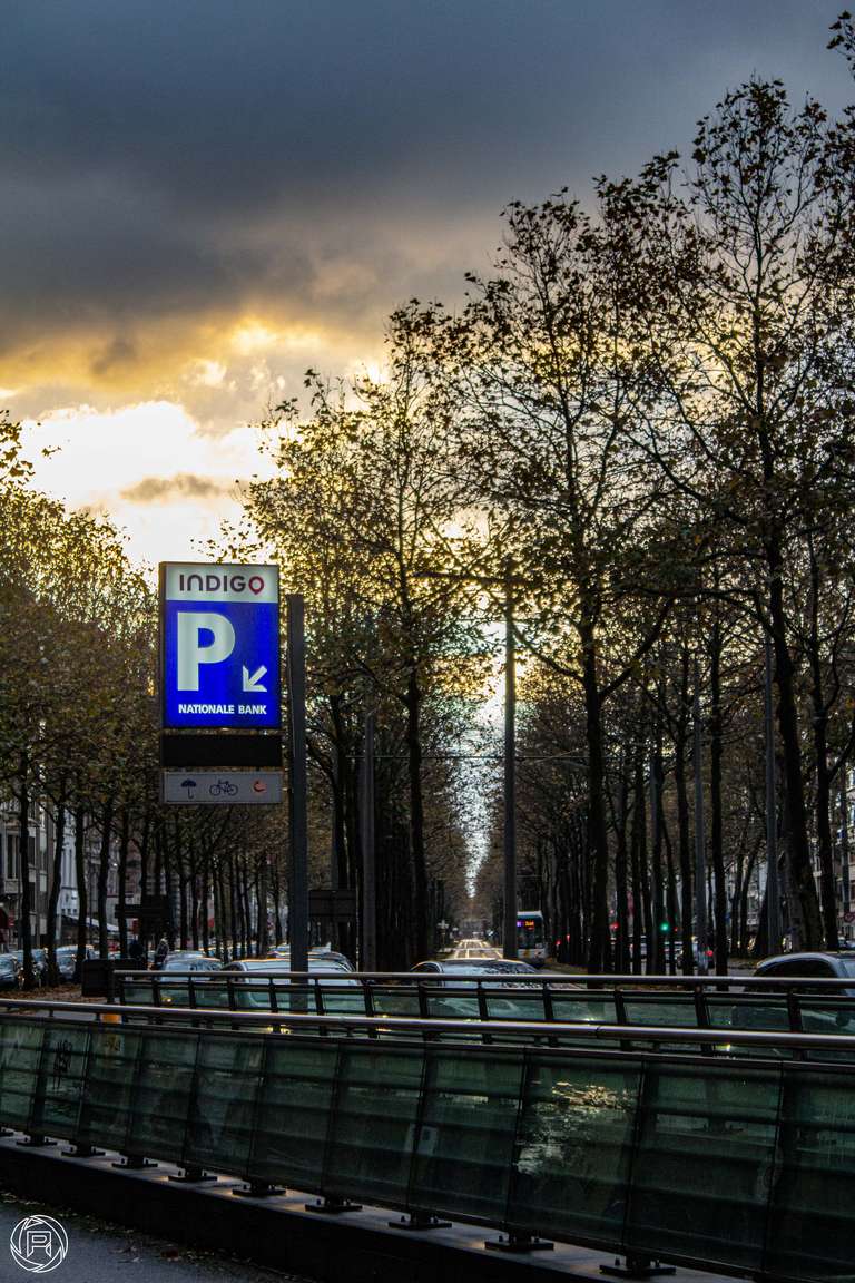 ISO: 800 | Focal Length: 55 mm | Aperture: ƒ/5,6 | Shutter Speed: 1/160