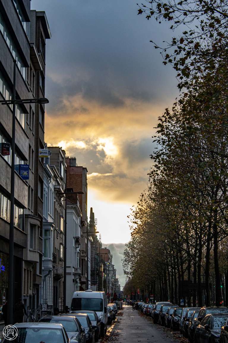 ISO: 800 | Focal Length: 55 mm | Aperture: ƒ/5,6 | Shutter Speed: 1/160