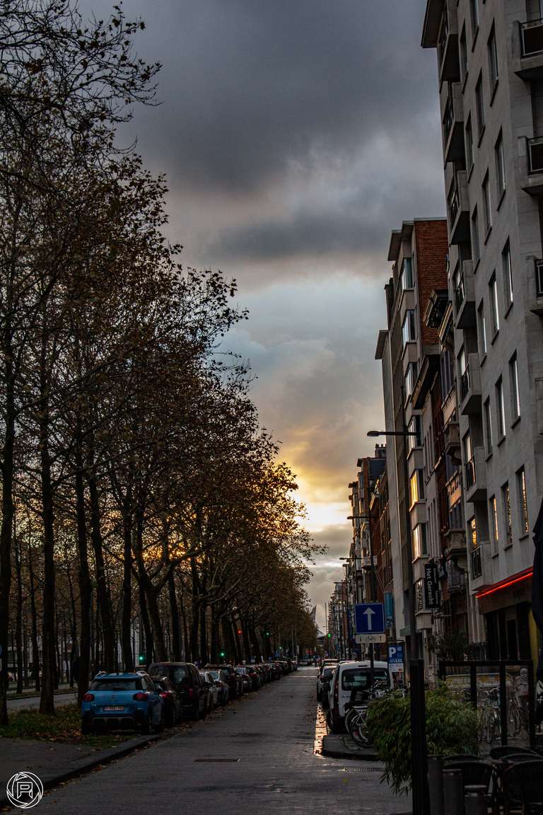 ISO: 800 | Focal Length: 43 mm | Aperture: ƒ/5,6 | Shutter Speed: 1/160