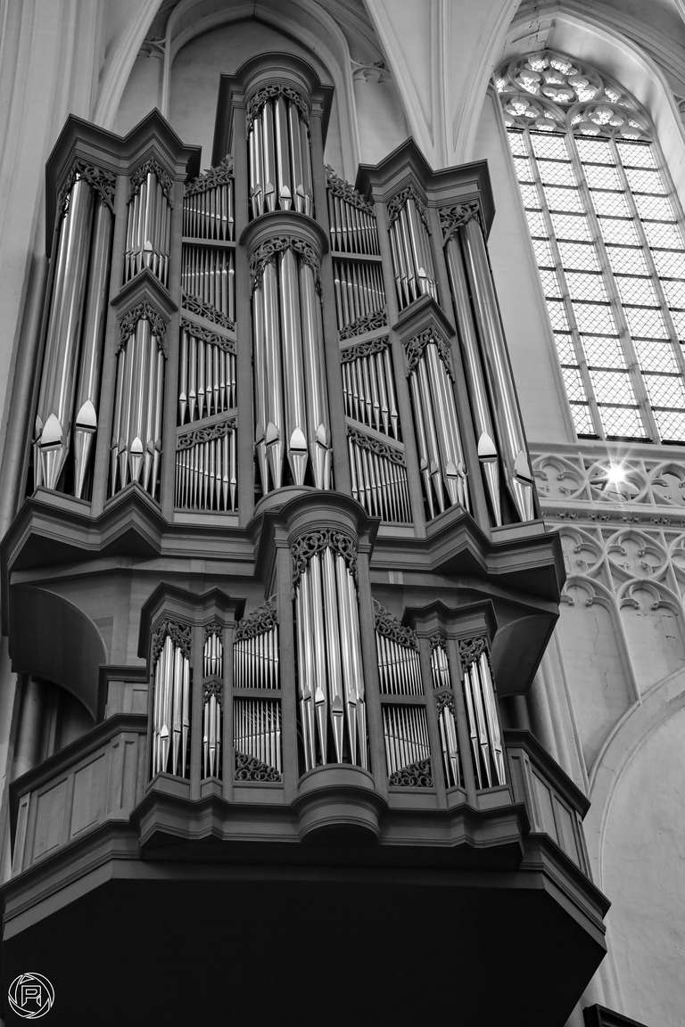 ISO: 2000 | Focal Length: 50 mm | Aperture: ƒ/10,0 | Shutter Speed: 1/60