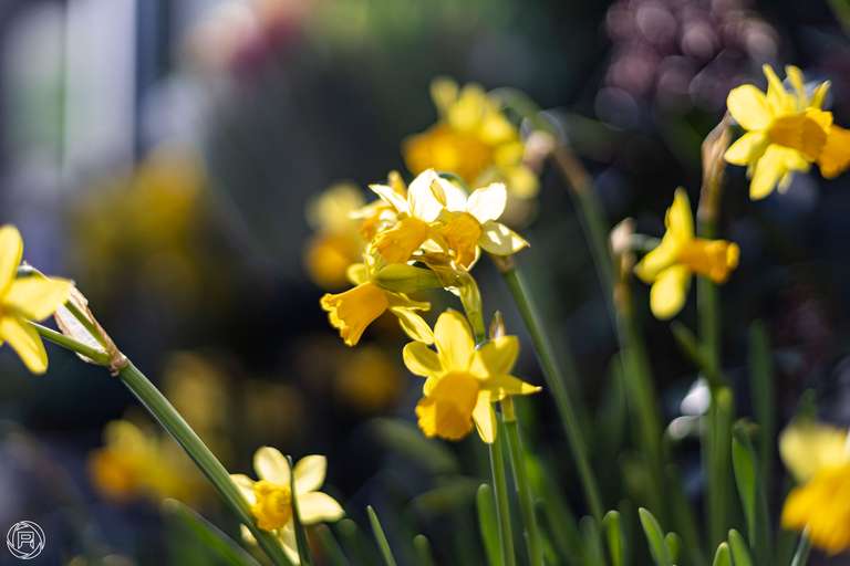 ISO: 100 | Focal Length: 50 mm | Aperture: ƒ/1,4 | Shutter Speed: 1/2000