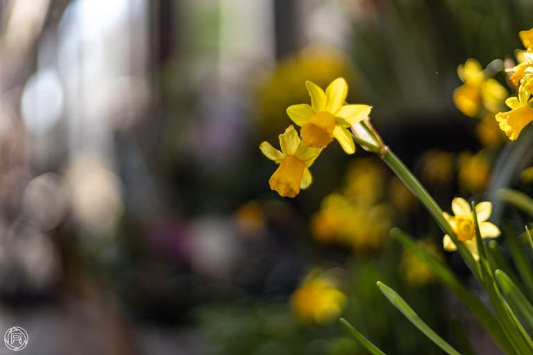 ISO: 100 | Focal Length: 50 mm | Aperture: ƒ/1,4 | Shutter Speed: 1/2000