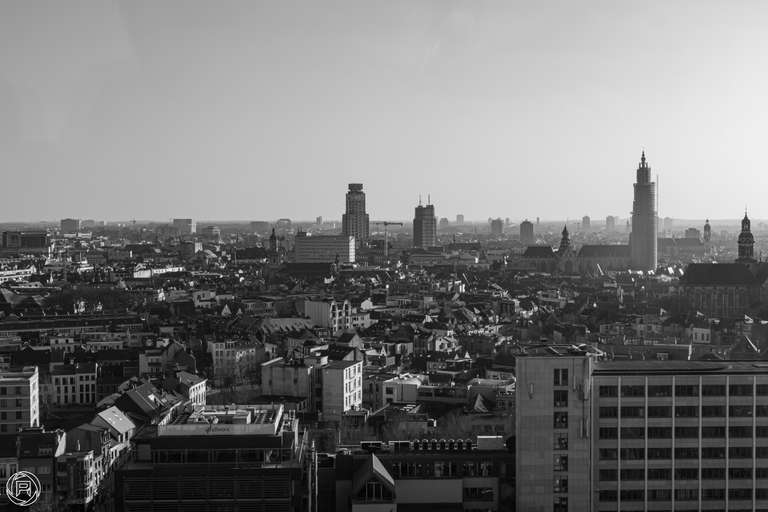 ISO: 200 | Focal Length: 50 mm | Aperture: ƒ/22 | Shutter Speed: 1/60