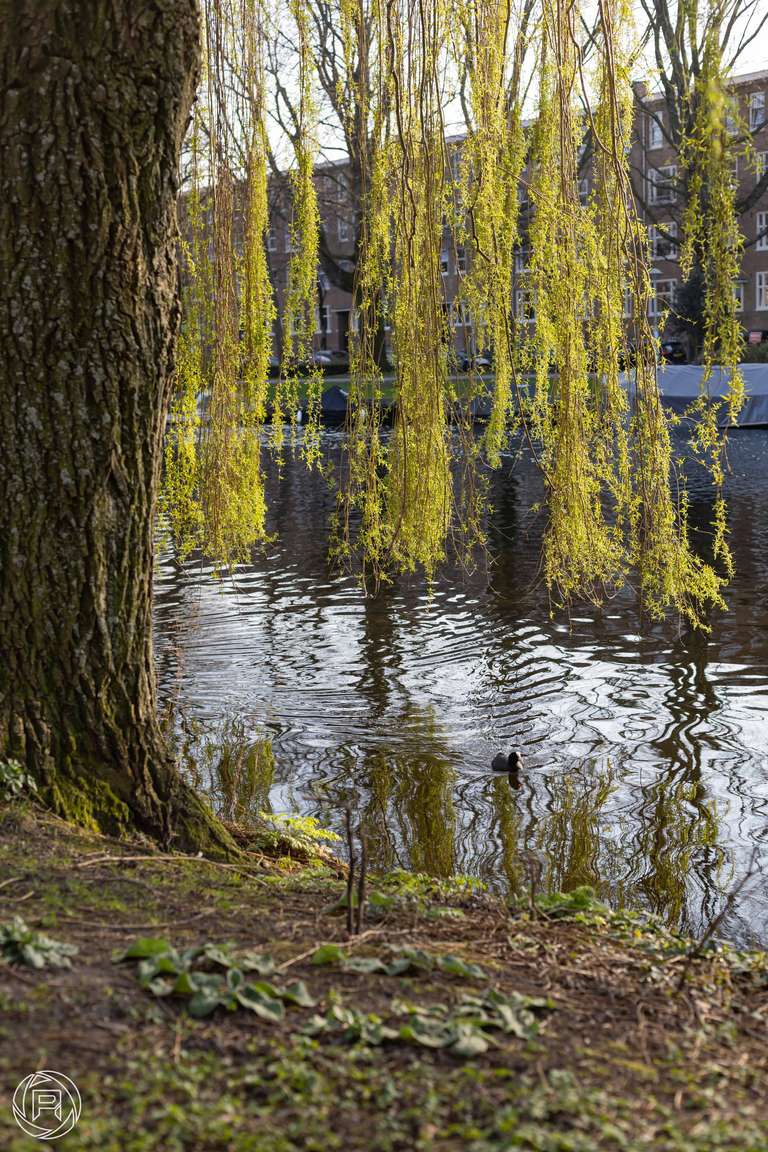 ISO: 100 | Focal Length: 50 mm | Aperture: ƒ/4,0 | Shutter Speed: 1/250