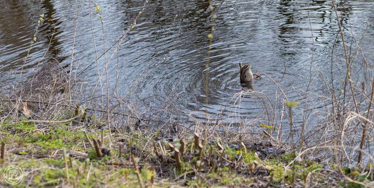 ISO: 100 | Focal Length: 50 mm | Aperture: ƒ/4,0 | Shutter Speed: 1/160