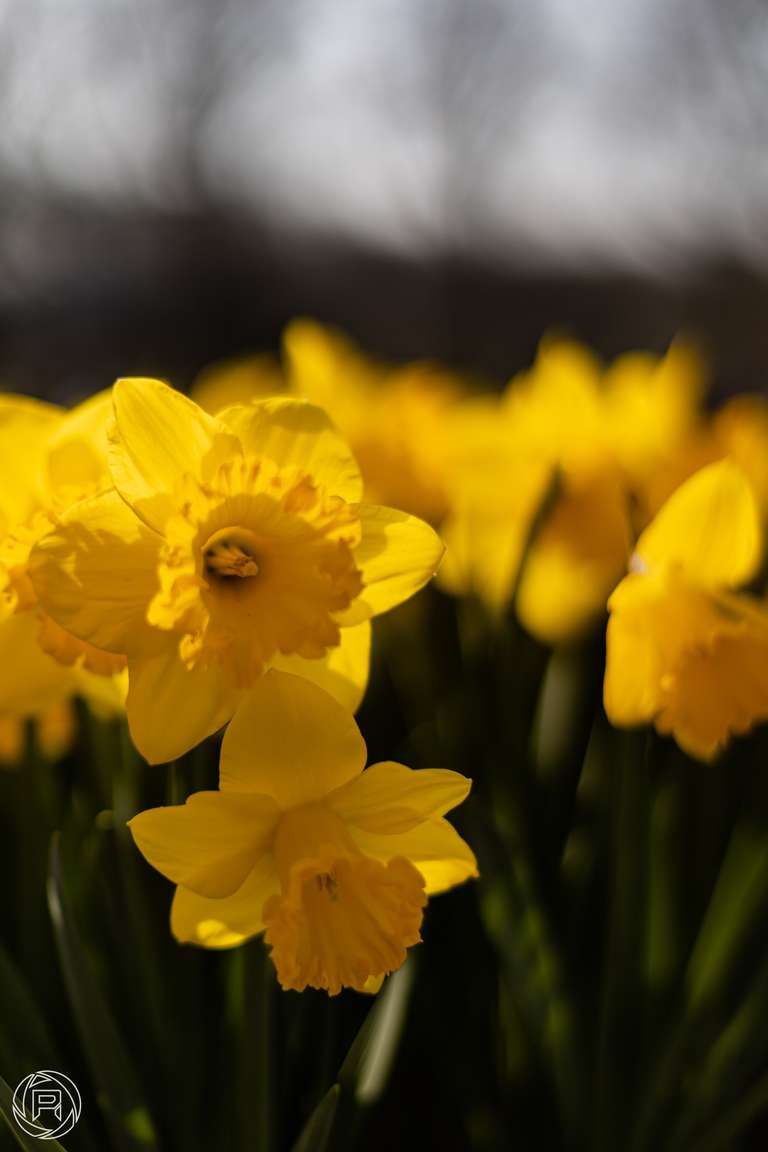 ISO: 100 | Focal Length: 50 mm | Aperture: ƒ/1,8 | Shutter Speed: 1/4000