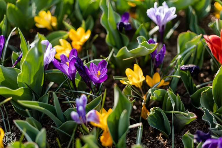 ISO: 100 | Focal Length: 50 mm | Aperture: ƒ/1,8 | Shutter Speed: 1/1250