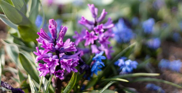 ISO: 100 | Focal Length: 50 mm | Aperture: ƒ/1,6 | Shutter Speed: 1/2000