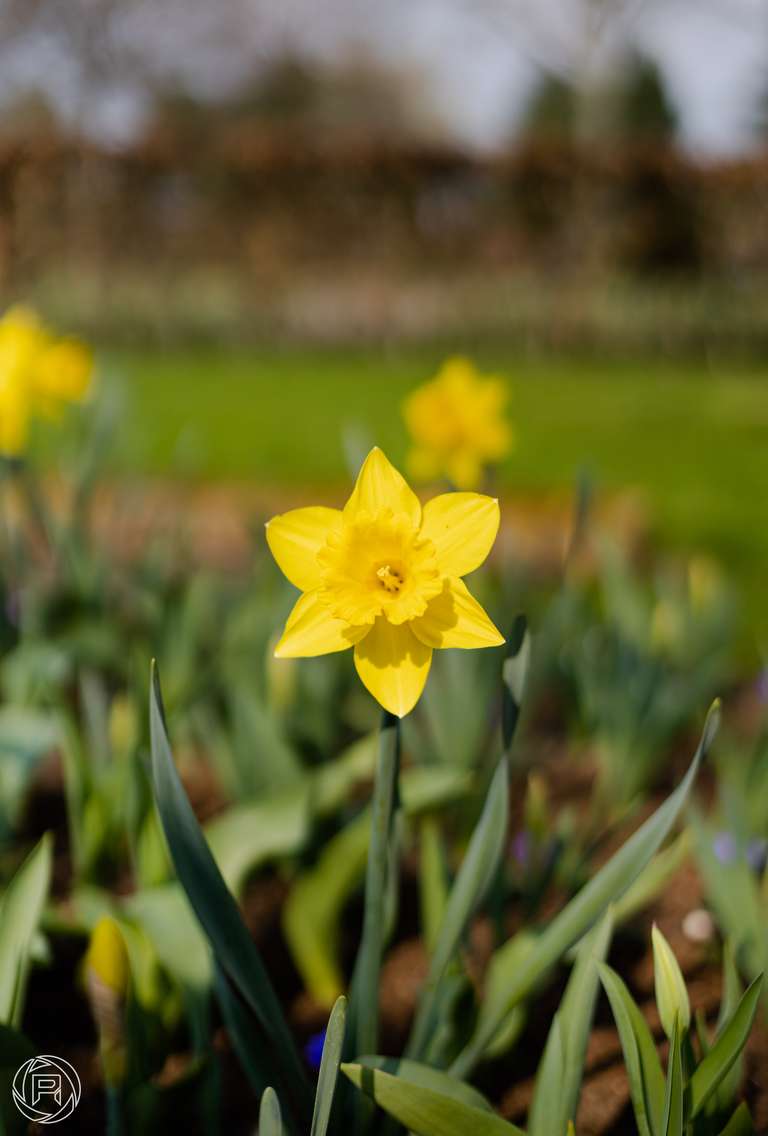 ISO: 100 | Focal Length: 50 mm | Aperture: ƒ/2,0 | Shutter Speed: 1/4000