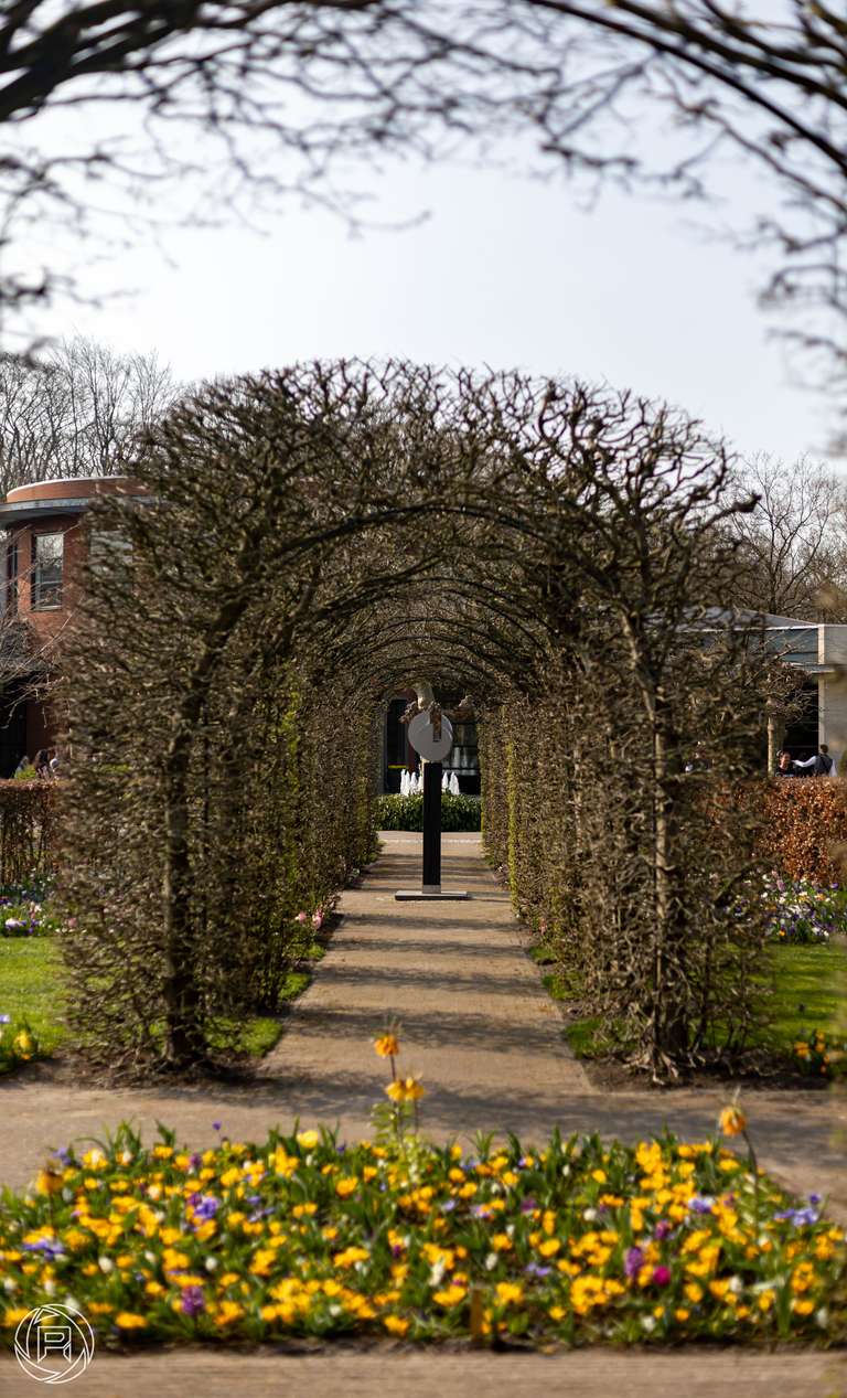 ISO: 100 | Focal Length: 50 mm | Aperture: ƒ/2,0 | Shutter Speed: 1/2500