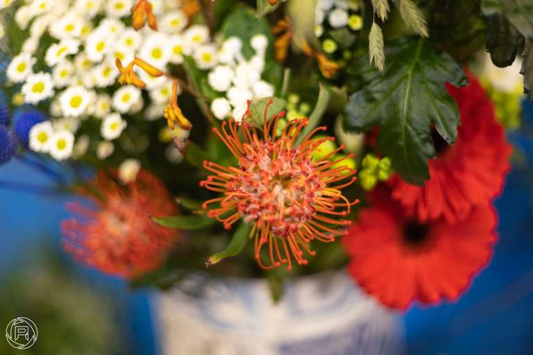 ISO: 100 | Focal Length: 50 mm | Aperture: ƒ/1,4 | Shutter Speed: 1/60