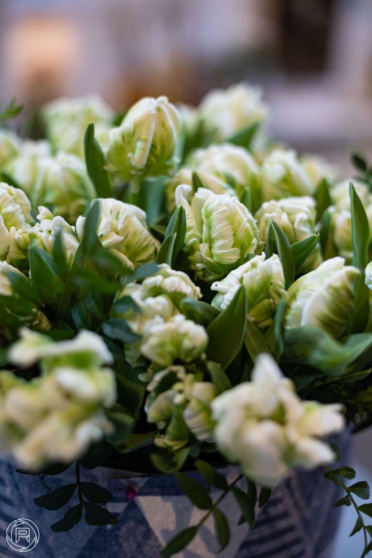 ISO: 100 | Focal Length: 50 mm | Aperture: ƒ/2,0 | Shutter Speed: 1/60