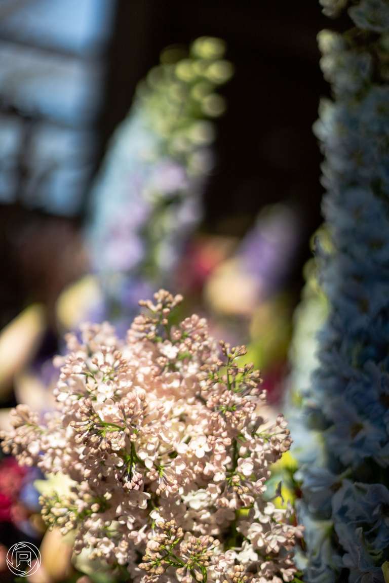 ISO: 100 | Focal Length: 50 mm | Aperture: ƒ/1,6 | Shutter Speed: 1/3200