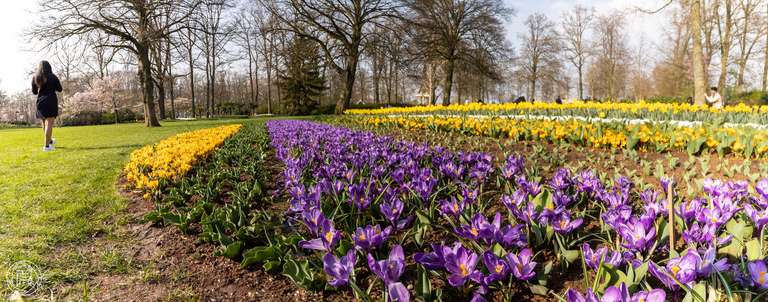 ISO: 100 | Focal Length: 10 mm | Aperture: ƒ/4,5 | Shutter Speed: 1/400