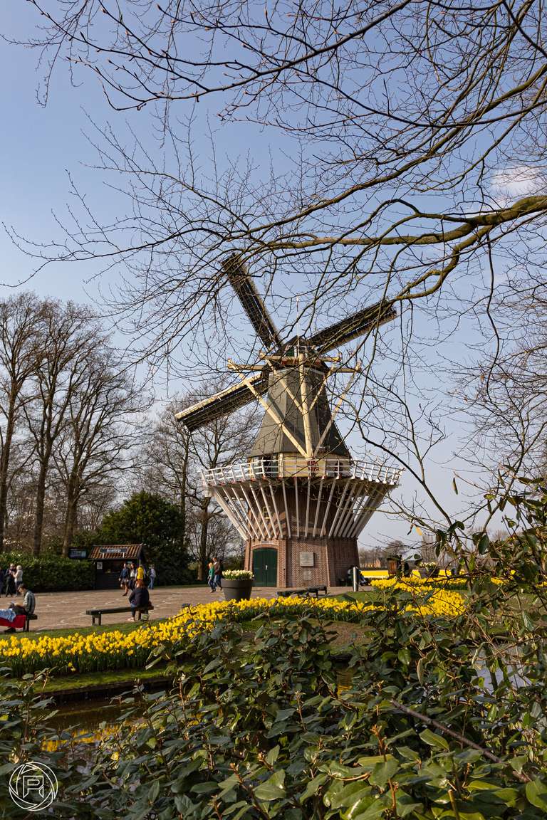 ISO: 100 | Focal Length: 18 mm | Aperture: ƒ/5,6 | Shutter Speed: 1/640