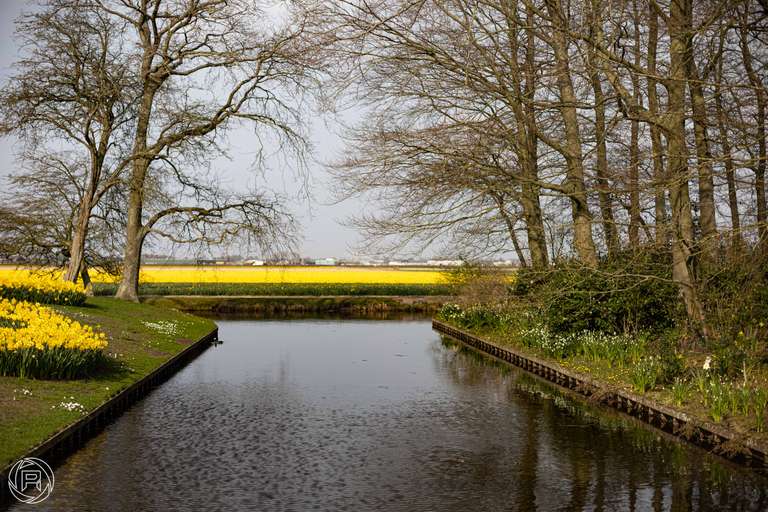 ISO: 100 | Focal Length: 50 mm | Aperture: ƒ/2,5 | Shutter Speed: 1/2500