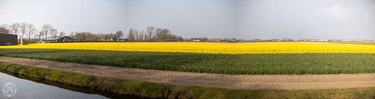 ISO: 100 | Focal Length: 50 mm | Aperture: ƒ/1,6 | Shutter Speed: 1/4000