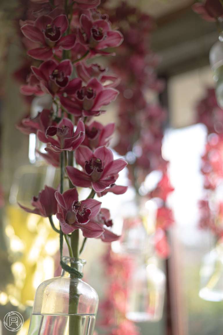 ISO: 100 | Focal Length: 50 mm | Aperture: ƒ/1,8 | Shutter Speed: 1/200