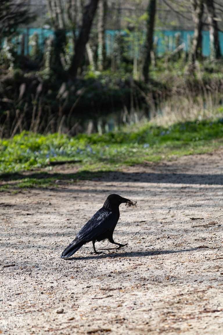 ISO: 100 | Focal Length: 135 mm | Aperture: ƒ/5,6 | Shutter Speed: 1/250