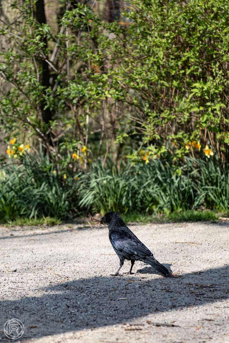 ISO: 100 | Focal Length: 135 mm | Aperture: ƒ/5,6 | Shutter Speed: 1/320